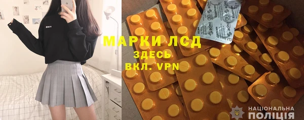 ECSTASY Богданович