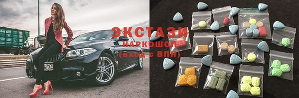 ECSTASY Богданович