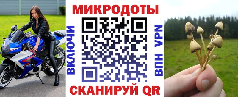 Псилоцибиновые грибы мухоморы  купить наркоту  Калининск 
